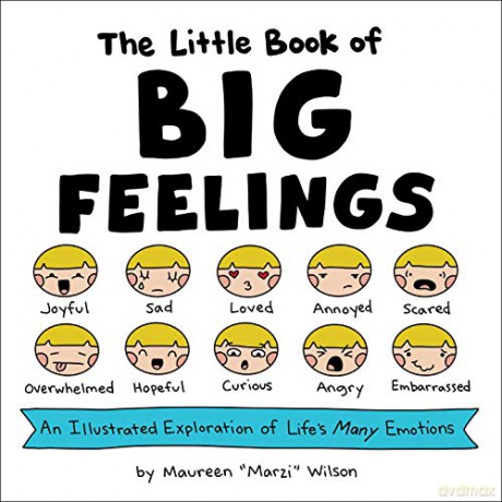 The Little Book of Big Feelings: An Illustrated Exploration of Life's Many Emotions - Maureen Marzi Wilson [KSIĄŻKA]