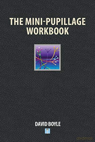 The Mini-Pupillage Workbook - David Boyle [KSIĄŻKA]
