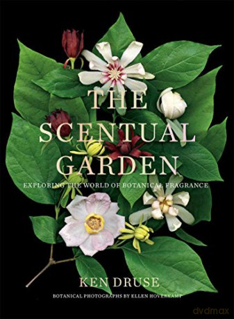 The Scentual Garden: Exploring the World of Botanical Fragrance - Ken Druse [KSIĄŻKA]