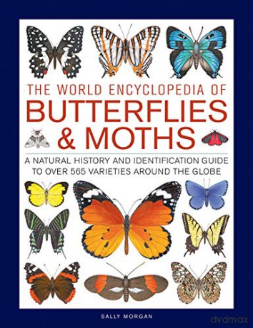 The World Encyclopedia of Butterflies & Moths: A Natural History and Identification Guide to Over 565 Varieties Around the Globe - Sally Morgan [KSIĄŻKA]