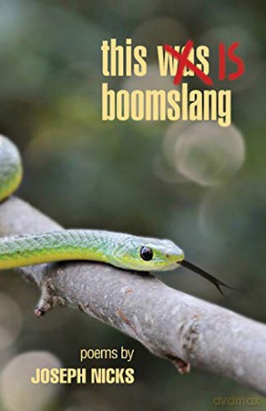 this is boomslang - Joseph Nicks [KSIĄŻKA]