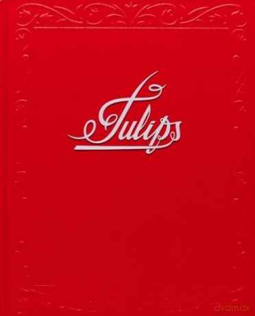 Tulips - Andrew Miksys [KSIĄŻKA]