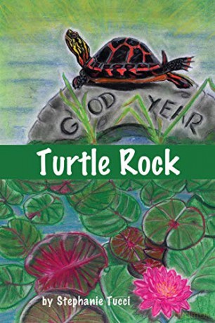 Turtle Rock - Stephanie Tucci [KSIĄŻKA]