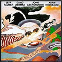 Jeff Palmer, John Abercrombie, David Liebman, Adam Nussbaum: Abracadabra [CD]