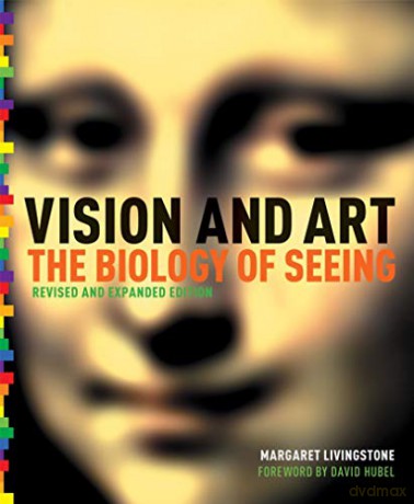 Vision and Art (Updated and Expanded Edition): Updated and Expanded Edition - Margaret S. Livingstone [KSIĄŻKA]