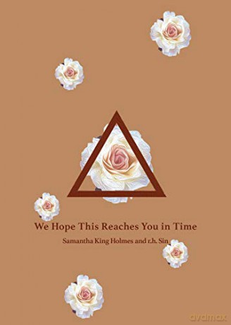 We Hope This Reaches You in Time - r.h. Sin [KSIĄŻKA]