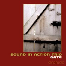 Sound In Action Trio: Gate [CD]