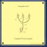 Mikołaj Trzaska, Peter Friis Nielsen, Peter Uuskyla: Unforgiven north [CD]
