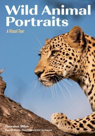 Wild Animal Portraits A Visual Tour - Thorsten Milse [KSIĄŻKA]