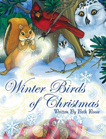 Winter Birds Of Christmas - Beth Roose [KSIĄŻKA]