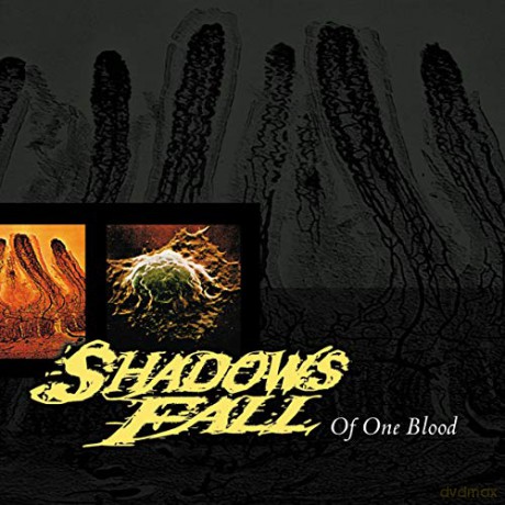 Shadows Fall: Of One Blood (Blood Red) (Black Friday 2020) [Winyl]