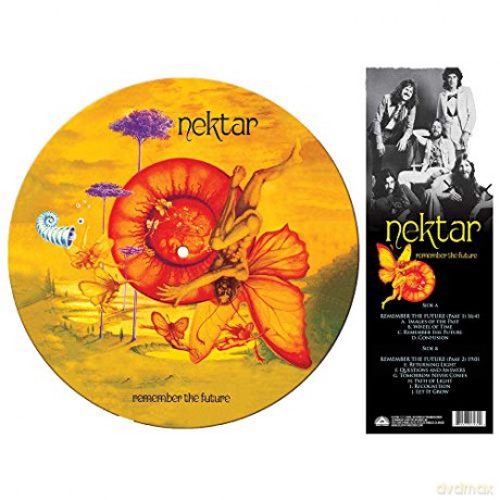 Nektar: Remember The Future (Picture) [Winyl]