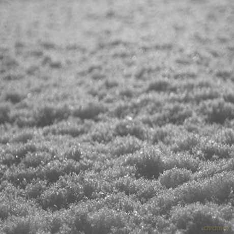 Paysage Dhiver: Schnee (Handmade A5 Digibook In Black Envelope) [CD]