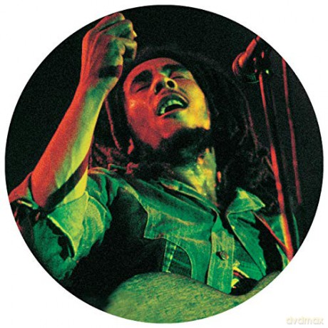 Bob Marley: The Soul Of A Rebel (Picture) [Winyl]