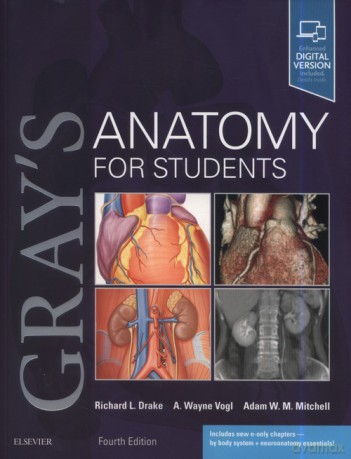 Gray's Anatomy for Students 4th Edition - Richard L. Drake, Vogl A. Wayne [KSIĄŻKA]