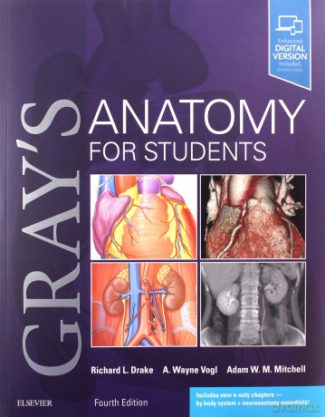 Gray's Anatomy for Students 4th Edition - Richard L. Drake, Vogl A. Wayne [KSIĄŻKA]