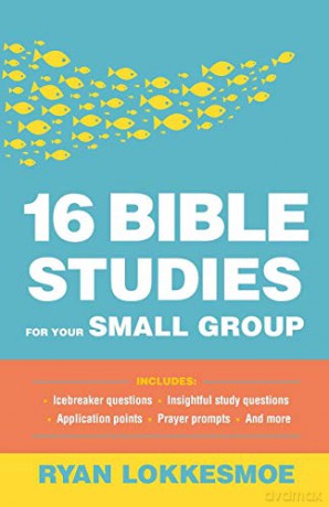 16 Bible Studies for Your Small Group - Lokkesmoe [KSIĄŻKA]