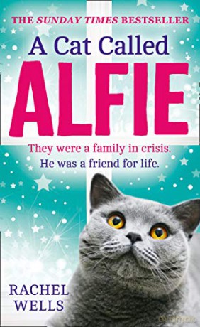 A Cat Called Alfie (Alfie series, Book 2) - Rachel Wells [KSIĄŻKA]