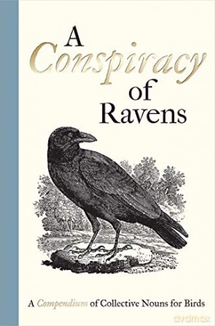 A Conspiracy of Ravens: A Compendium of Collective Nouns for Birds - Bill Oddie [KSIĄŻKA]