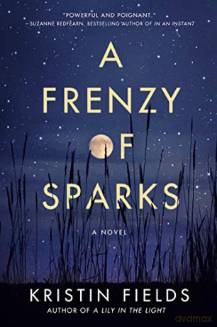 A Frenzy of Sparks: A Novel - Kristin Fields [KSIĄŻKA]