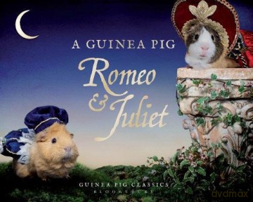 A Guinea Pig Romeo & Juliet (Guinea Pig Classics) - William Shakespeare [KSIĄŻKA]