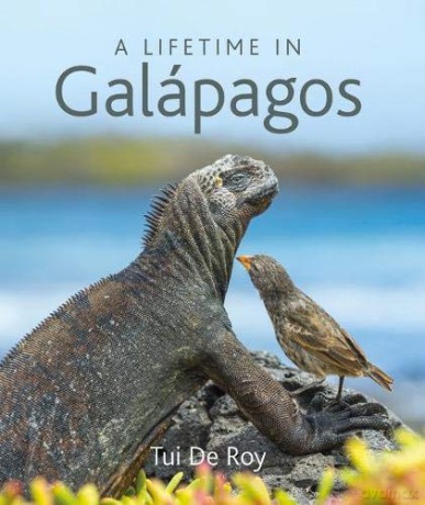A Lifetime in Galapagos - Tui de Roy [KSIĄŻKA]