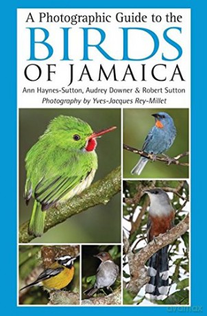 A Photographic Guide to the Birds of Jamaica - Audrey Downer [KSIĄŻKA]