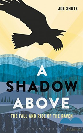A Shadow Above: The Fall and Rise of the Raven - Joe Shute [KSIĄŻKA]