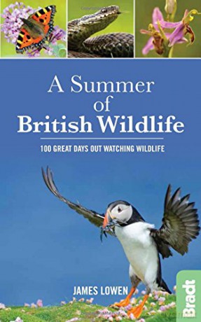 A Summer of British Wildlife: 100 great days out watching wildlife (Bradt Travel Guides (Wildlife Guides)) - James Lowen [KSIĄŻKA]