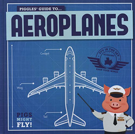 Aeroplanes (Pigs Might Fly!) - Kirsty Holmes [KSIĄŻKA]