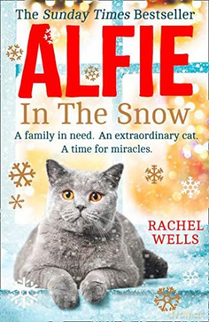 Alfie in the Snow (Alfie series) - Rachel Wells [KSIĄŻKA]