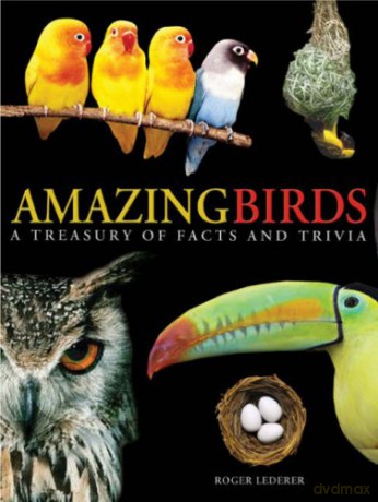 Amazing Birds: A Treasury of Facts and Trivia - Roger J. Lederer [KSIĄŻKA]