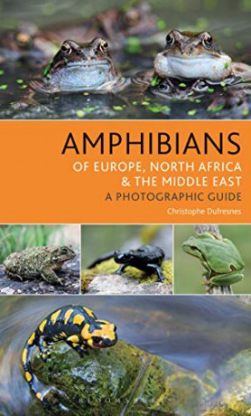 Amphibians of Europe, North Africa and the Middle East: A Photographic Guide - Christophe Dufresnes [KSIĄŻKA]