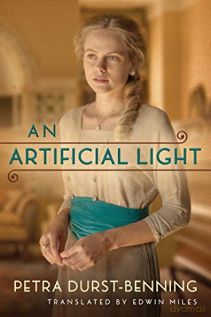 An Artificial Light: 2 (The Photographer's Saga) - Petra Durst-Benning [KSIĄŻKA]