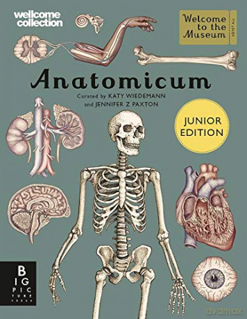 Anatomicum Junior (Welcome To The Museum) - Jennifer Z Paxton [KSIĄŻKA]