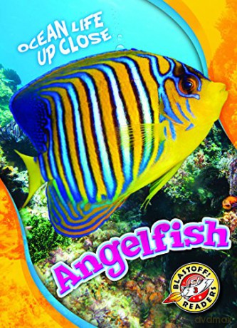 Angelfish (Ocean Life Up Close) - Nathan Sommer [KSIĄŻKA]