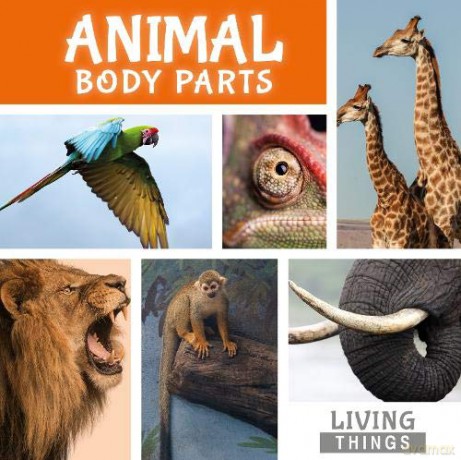 Animal Body Parts (Living Things) - Steffi Cavell-Clarke [KSIĄŻKA]