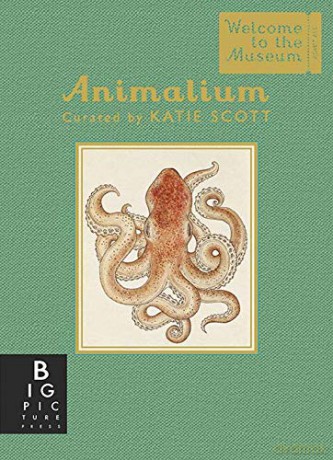Animalium - Mini Gift Edition (Welcome to the Museum) - Jenny Broom [KSIĄŻKA]