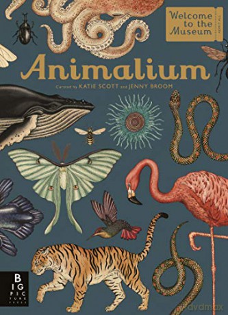 Animalium (Welcome To The Museum) - Jenny Broom [KSIĄŻKA]