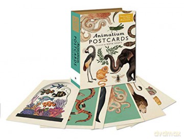 Animalium Postcards (Welcome To The Museum) - Katie Scott [KSIĄŻKA]