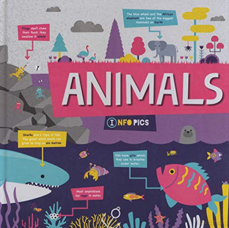 Animals (InfoPics) - Harriet Brundle [KSIĄŻKA]