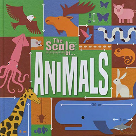 Animals (The Scale Of...) - Joanna Brundle [KSIĄŻKA]