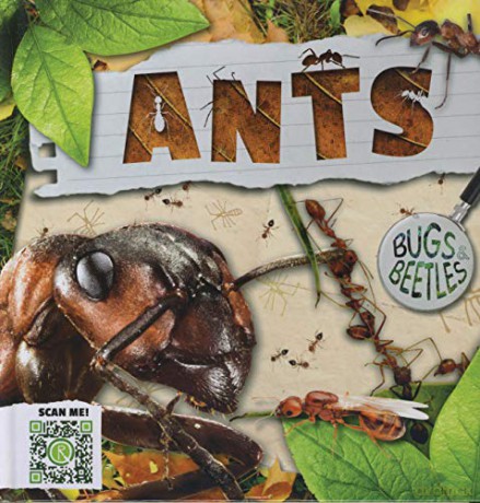 Ants (Bugs and Beetles) - John Wood [KSIĄŻKA]
