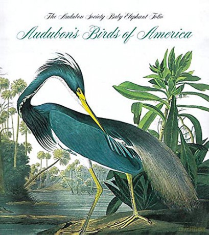 Audubon's Birds of America (Tiny Folio): The National Audubon Society Baby Elephant Folio (Tiny Folio): 24 - Virginia Marie Peterson [KSIĄŻKA]