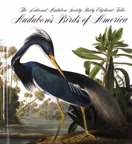 Audubon's Birds of America (Tiny Folio): The National Audubon Society Baby Elephant Folio (Tiny Folio): 24 - Virginia Marie Peterson [KSIĄŻKA]