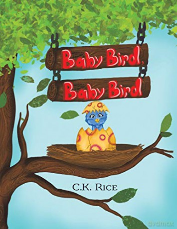Baby Bird, Baby Bird - C.K. Rice [KSIĄŻKA]