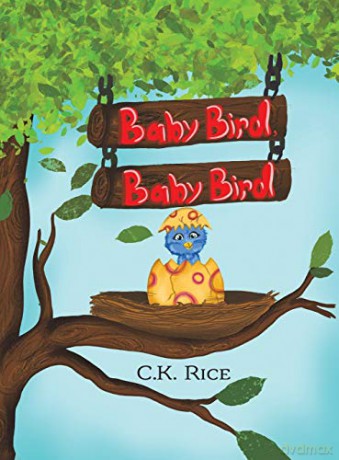 Baby Bird, Baby Bird - C.K. Rice [KSIĄŻKA]