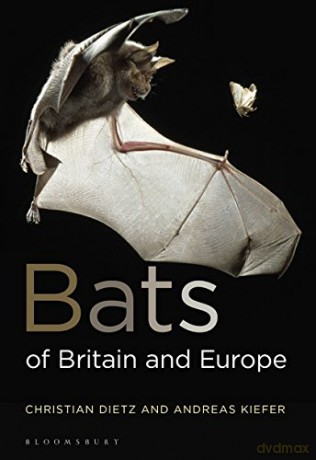 Bats of Britain and Europe - Christian Dietz [KSIĄŻKA]