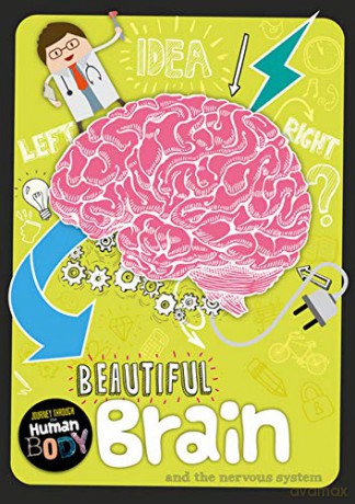 Beautiful Brain (Journey Through the Human Body) - Charlie Ogden [KSIĄŻKA]