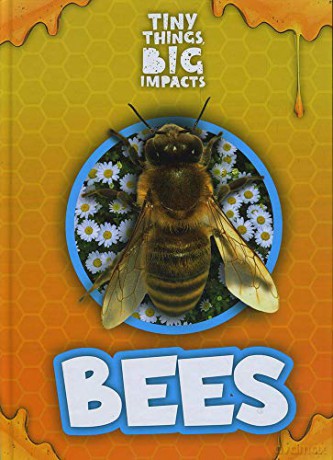 Bees (Tiny Things, Big Impacts) - John Wood [KSIĄŻKA]